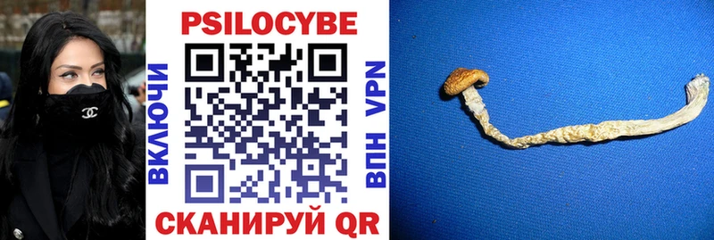 Псилоцибиновые грибы Cubensis купить наркотики цена Пудож